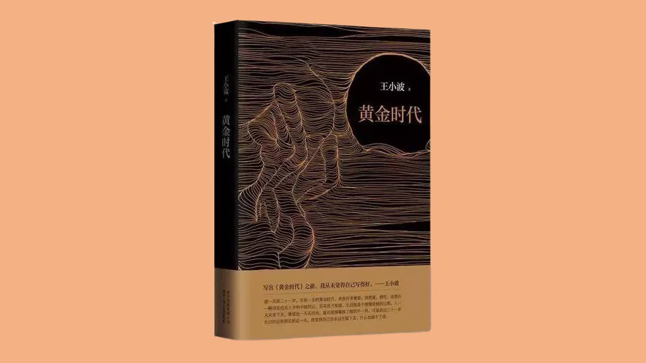 《黄金时代》王小波 有声书【播讲：鬼王蚀日】【共65集】【完结】