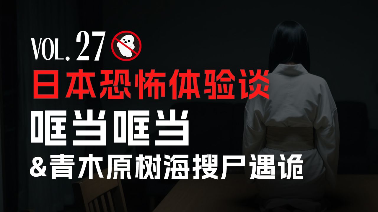 【请勿打扰27】日本论坛恐怖谈：家里的哐当声长年阴魂不散；去青木海树海搜尸作死遇到的男人