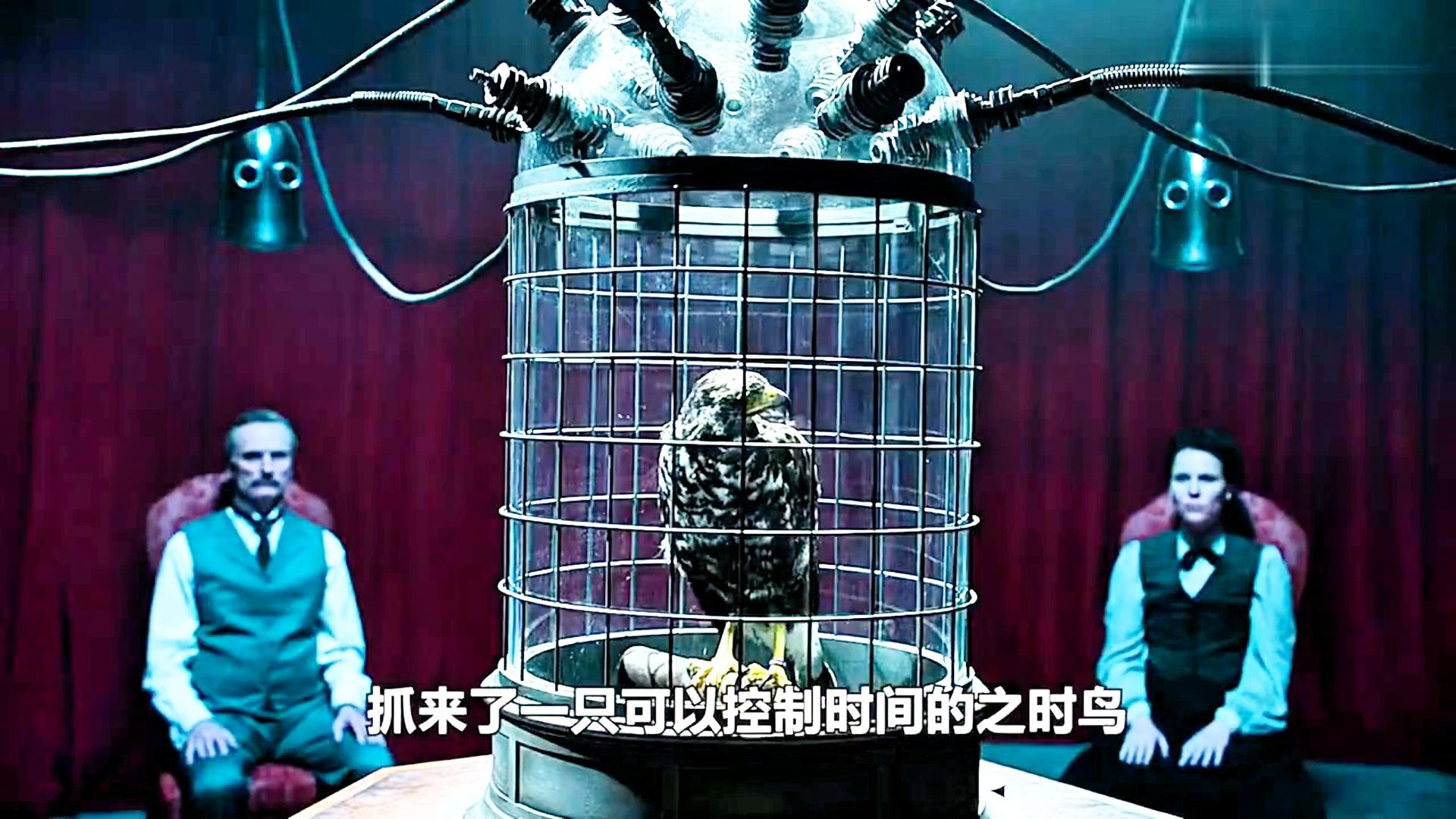 男人为获得永生抓来可以控制时间的之时鸟，甘愿冒险的富豪竟变成四肢纤细还能隐形的无脸怪