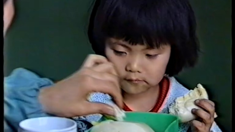 闪光的年华（1-8集）1996年