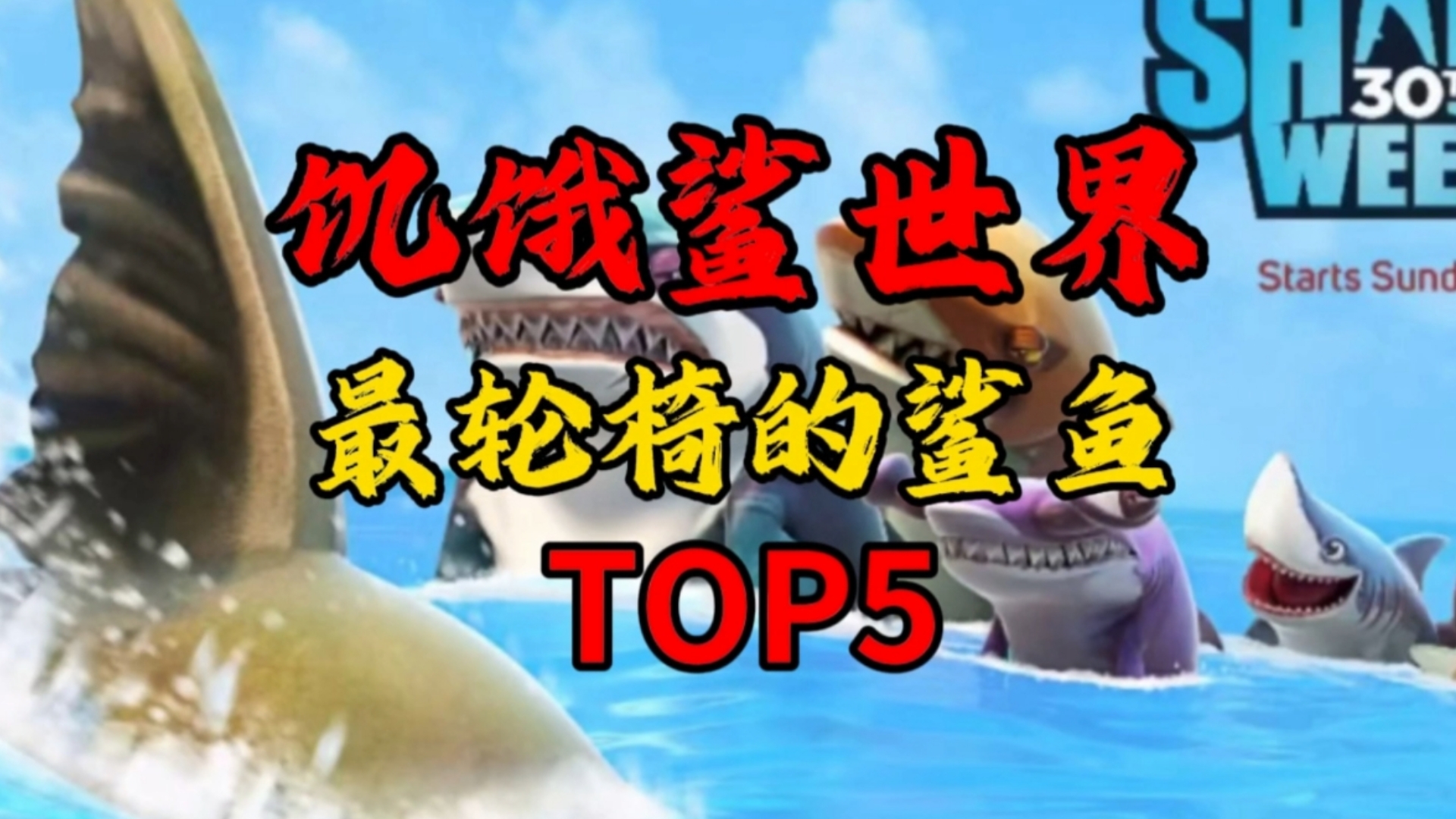饥饿鲨世界最轮椅的鲨鱼