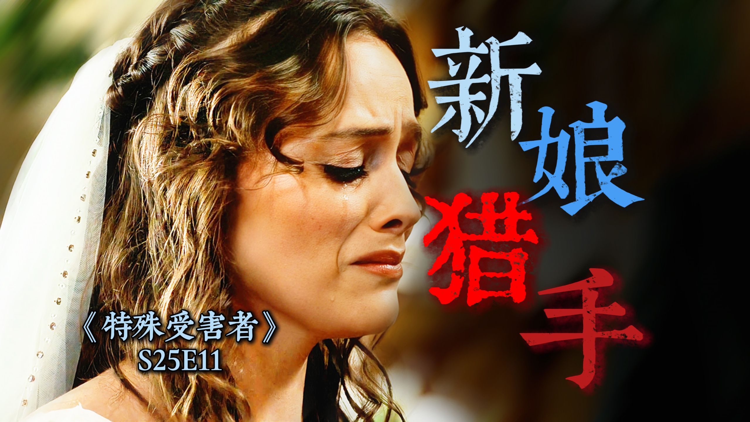 “你会永远记得我的”，婚礼前夜的耻辱，连环施暴者专向新娘下手《特殊受害者》S25-11