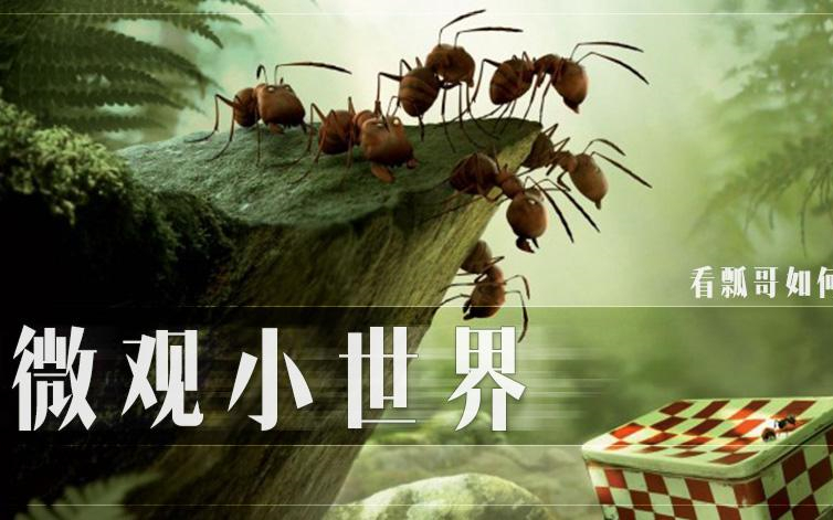 微观小世界（1-4季全）超有趣的幼儿自然科普动画片