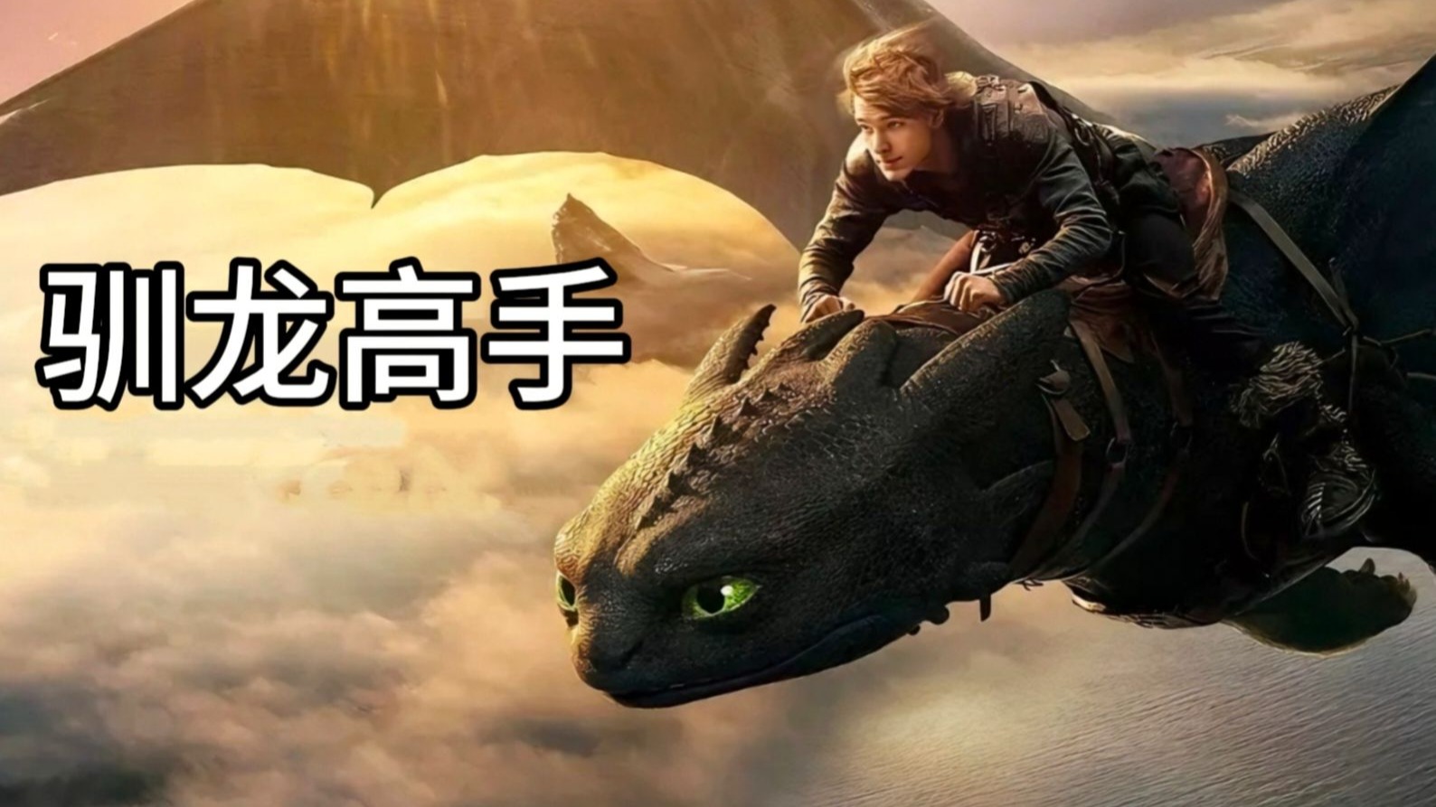 驯龙高手2