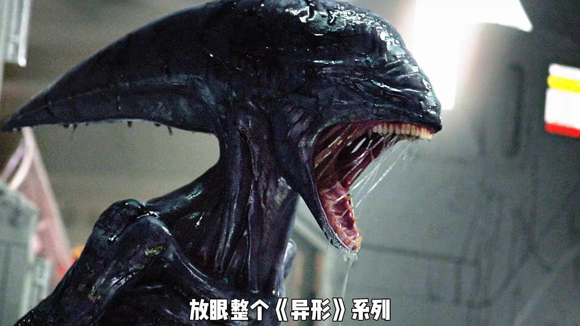 万字精讲《普罗米修斯》的黑水到底是什么？它既能创造生命，也能制造灭绝