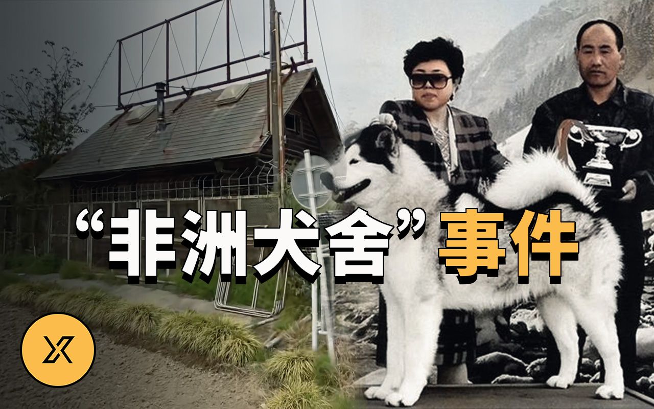 爱犬夫妇宠物店里藏着秘密，埼玉连续失踪事件 | X调查
