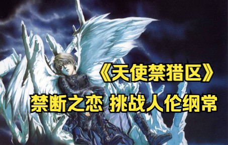 【动漫解说】画风华丽、内容禁断，世界观庞大，欲罢不能的经典作品！天使、恶魔，世间无常！《天使禁猎区》