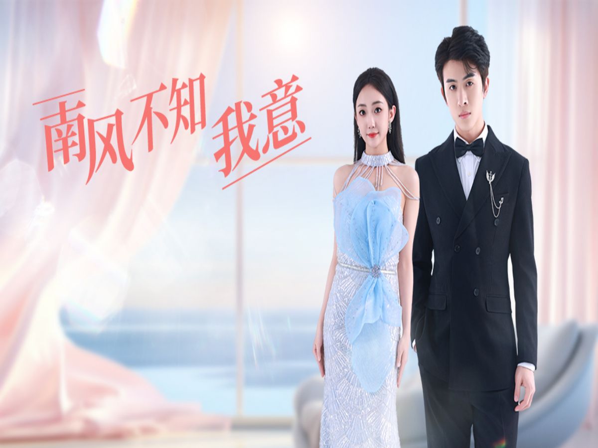 《南风不知我意》——全集