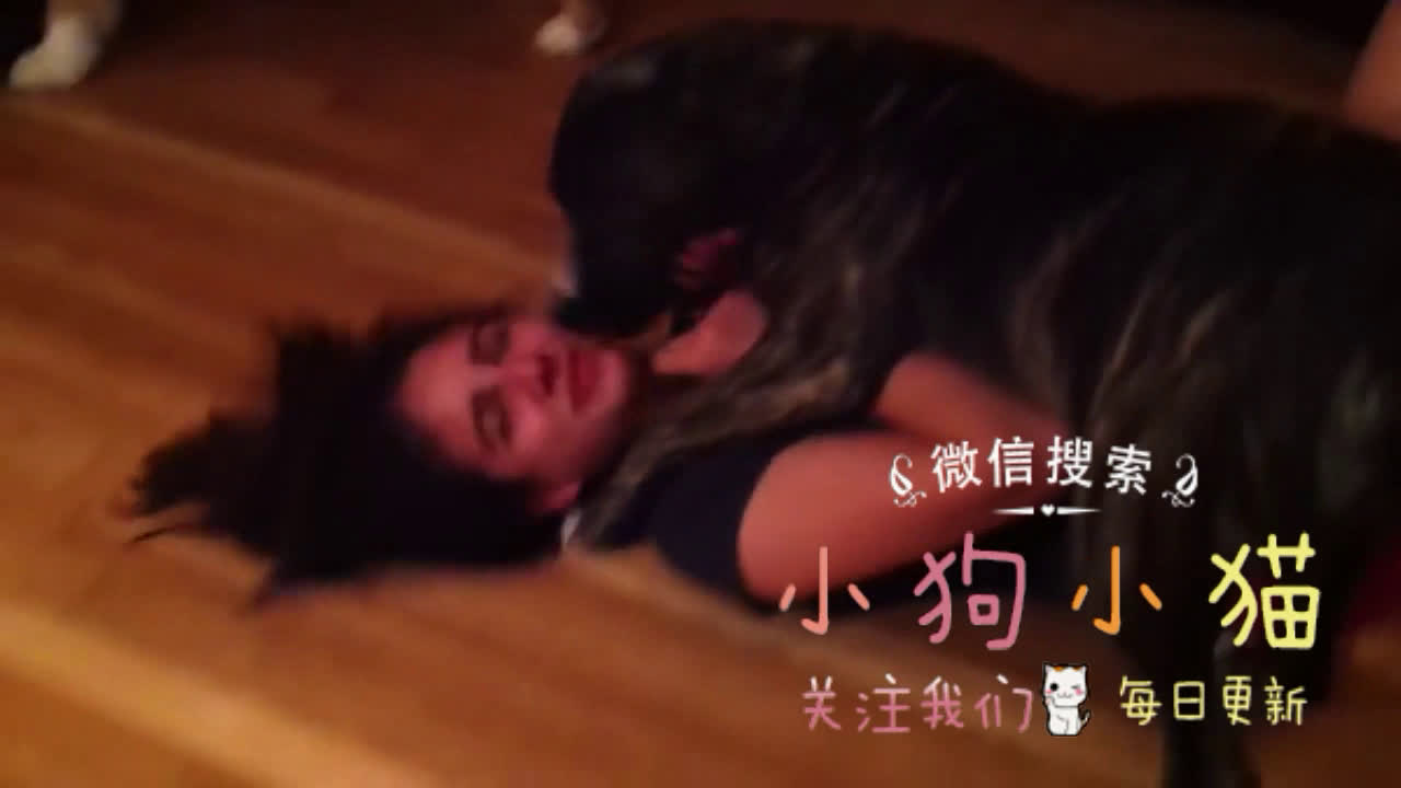 狗狗竟然和少女玩在了一起，下一秒惊呆了