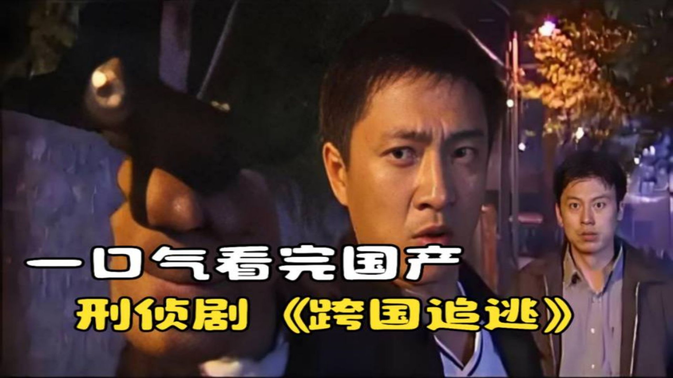 一口气看完国产刑侦剧《跨国追逃》，公安跨国追捕罪犯！