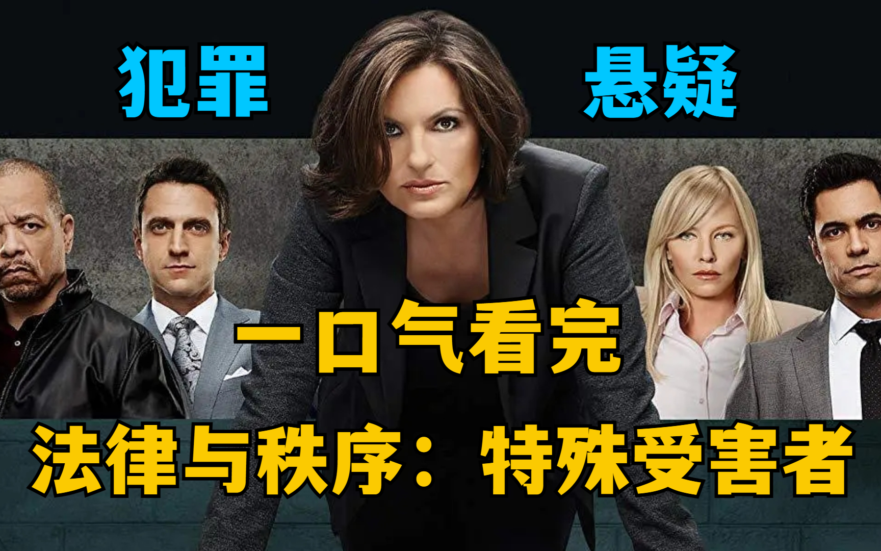一口气看完《法律与秩序：特殊受害者》，全程20小时解说，让你上班摸鱼爽一天了！
