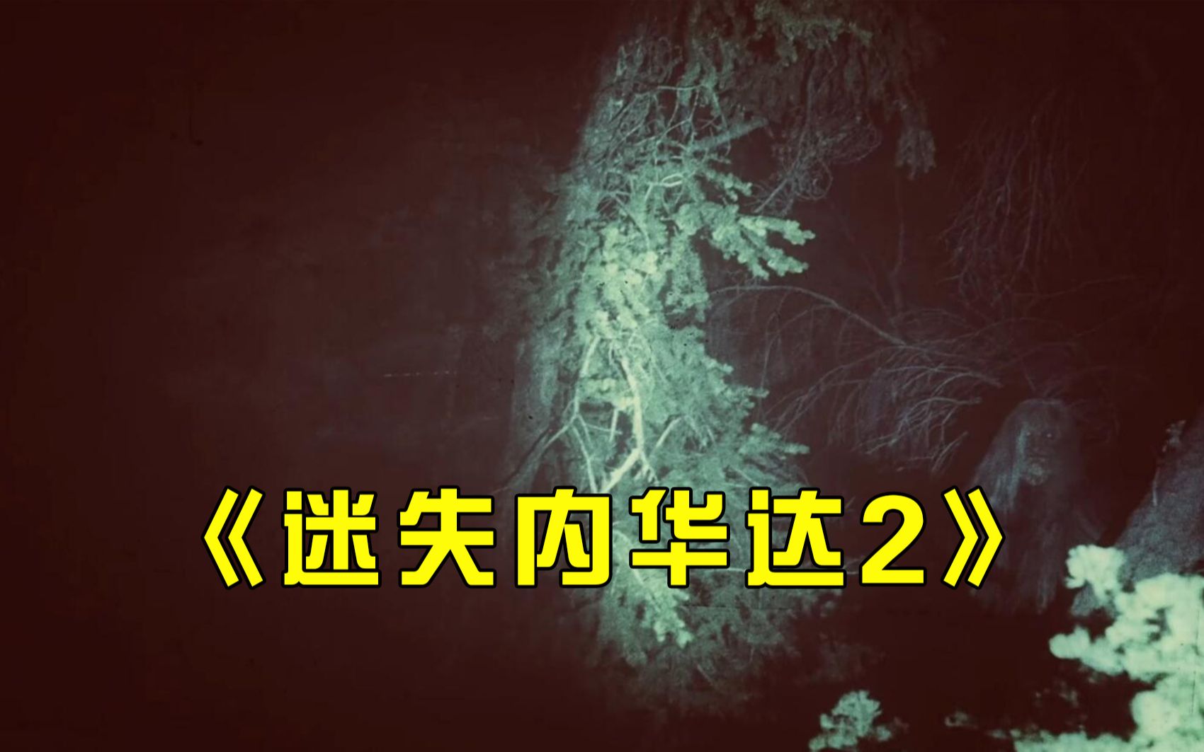 【大鹏】在内华达小镇上一名女地质专家离奇死亡，一位母亲神秘失踪《迷失内华达2》