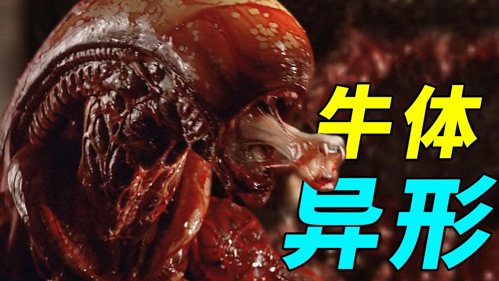 万字深拆《异形3》：上映30多年仍有人骂有人翻案， 到底凭什么这么有争议？