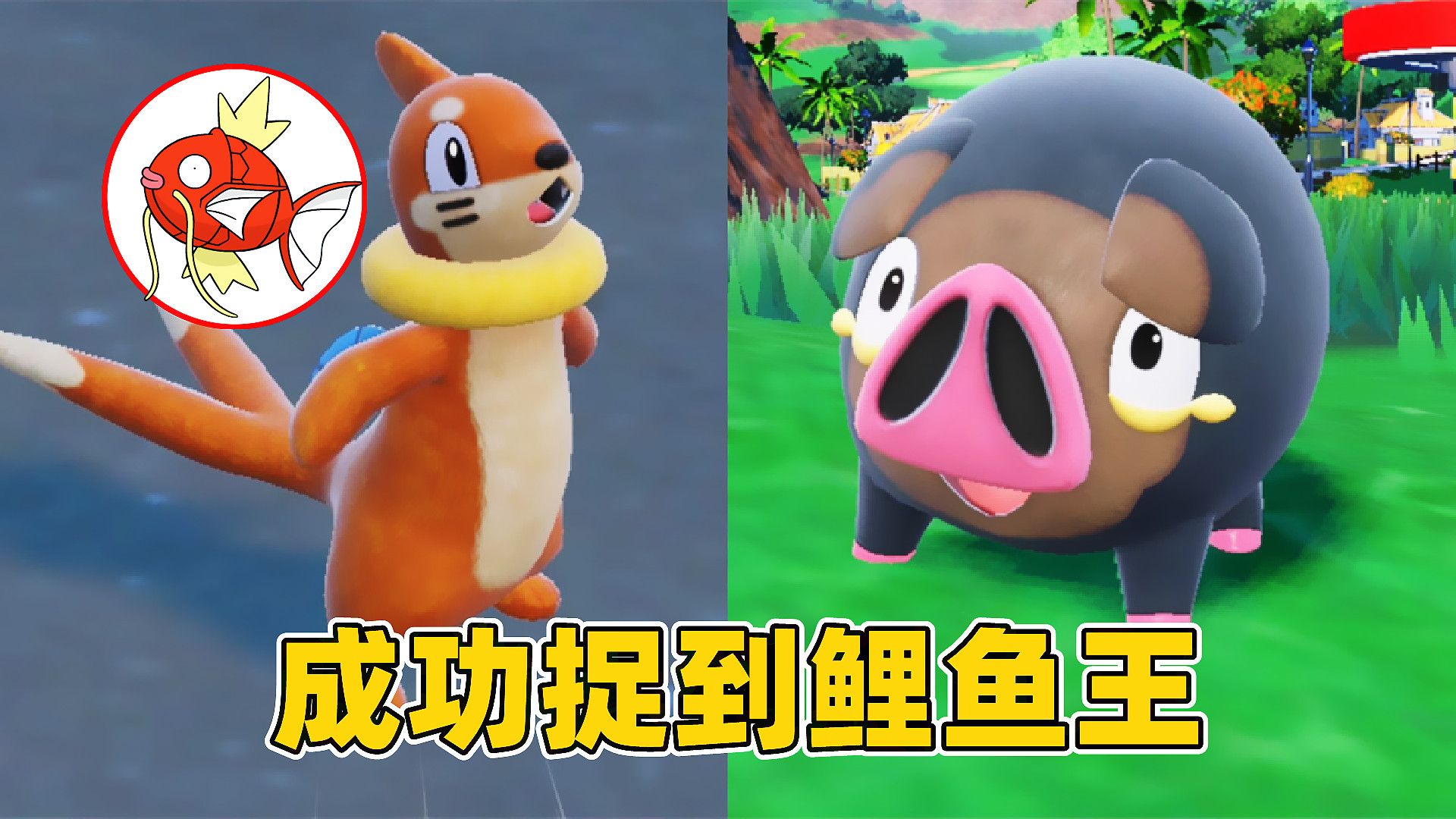 精灵宝可梦紫5：一口气捕捉5只神奇宝贝！