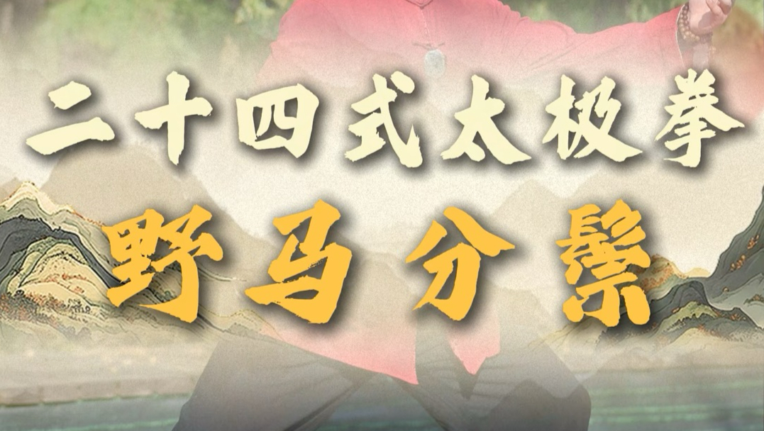 24式太极拳跟一鸣一天学一式