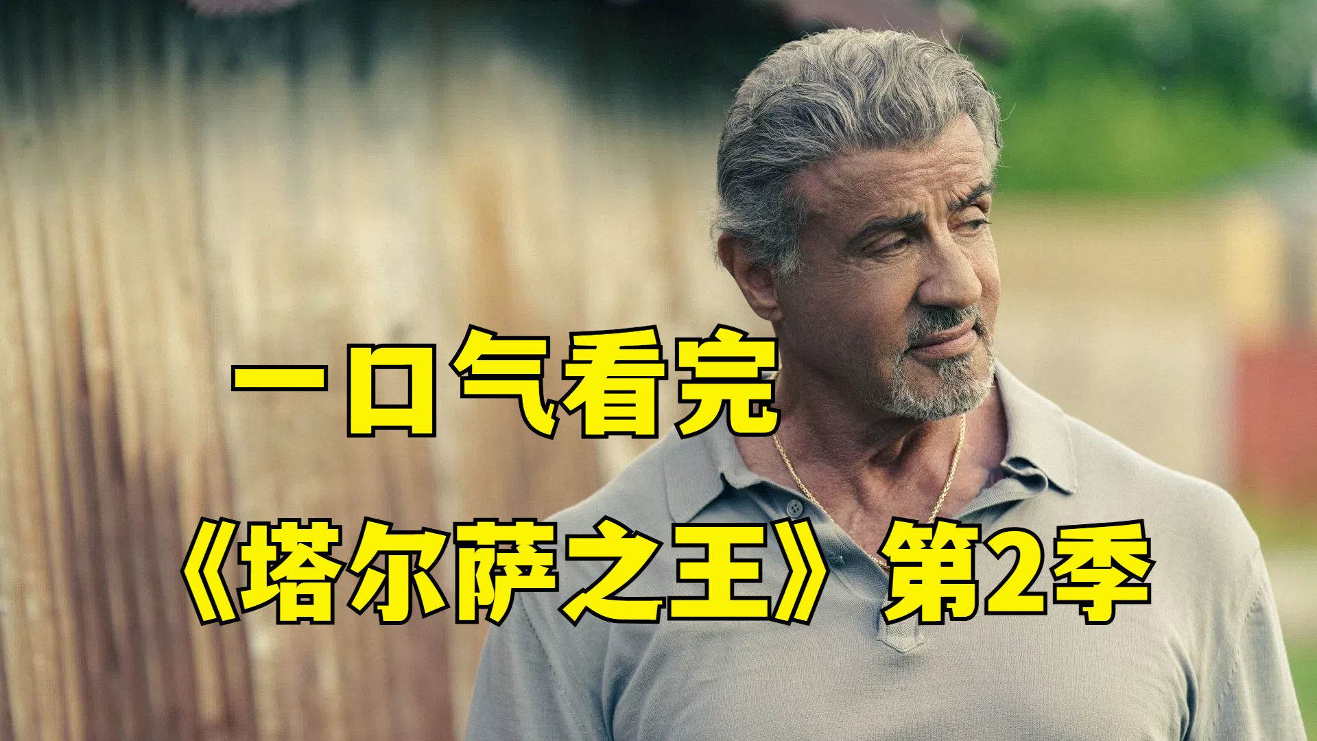 一口气看完，2024犯罪美剧《塔尔萨之王》第二季
