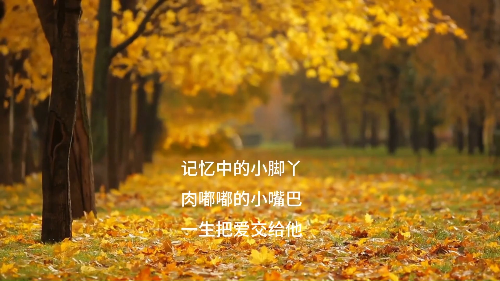 时间都去哪儿了