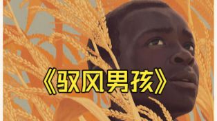 高分励志片《驭风男孩》 人生不可错过的电影之一