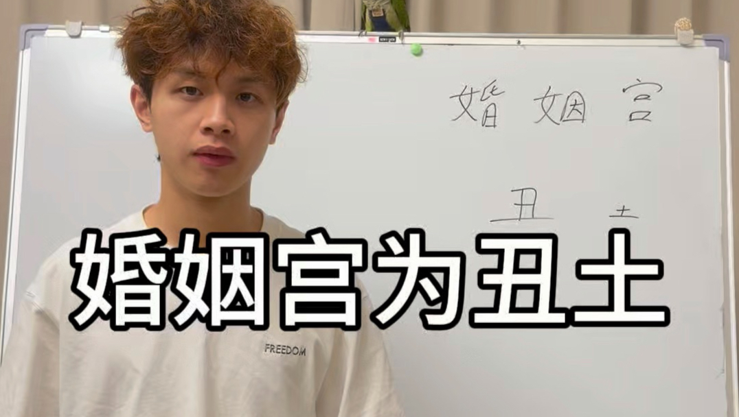 婚姻宫为丑土的对象特征！！！