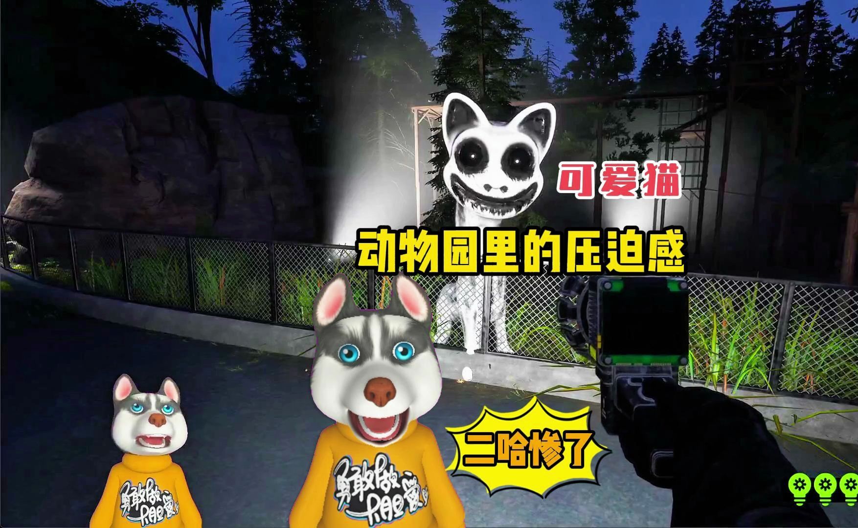动物园里的压迫感，可爱猫，二哈惨了！