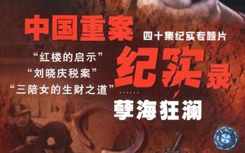 中国重案纪实录