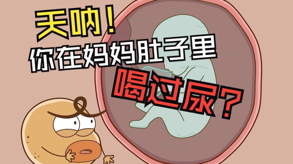 [成长真烦恼-孕期] 天哪！你在妈妈肚子里喝过尿？