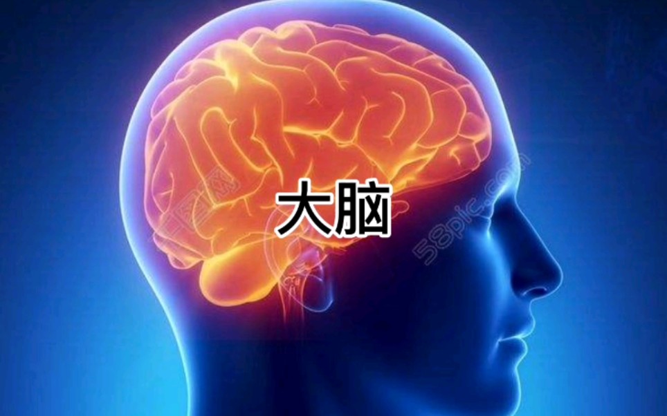 最强大脑精彩片段第一季，