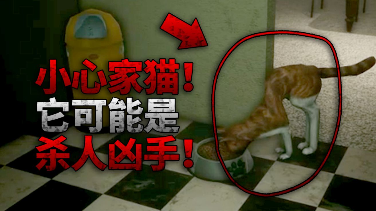 小心家里的猫！它可能正盘算着怎么杀死你！独立恐怖游戏《Silly Cat || 蠢猫》游戏流程实况