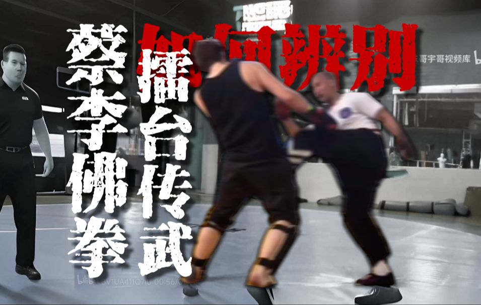 如何辨别擂台上的传统武术（蔡李佛篇)
