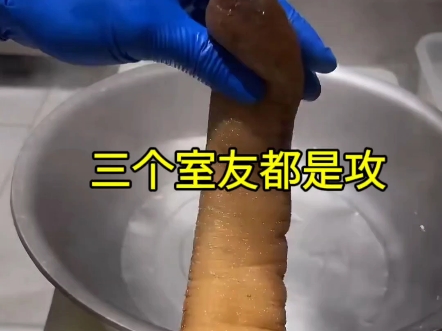 【双男主】一个宿舍四个人，三个室友都是gay