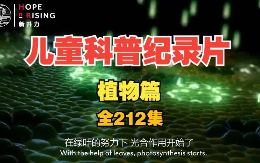 【212集儿童科普纪录片（植物篇）】，探索植物王国，启智成长之旅！让复杂的科学原理变得简单易懂，激发孩子们对大自然的好奇心和探索欲！