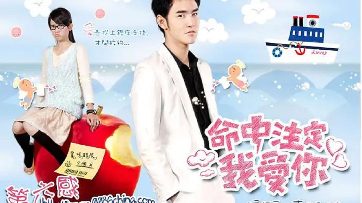 先婚后爱【命中注定我爱你/爱上琉璃苣女孩】2008（完结）