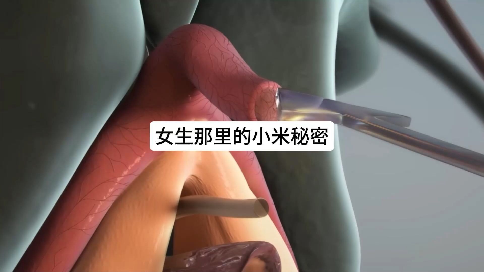 女孩，你了解自己的身体吗？