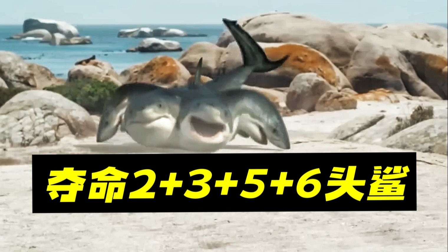 16个头的鲨鱼你见过吗？一口气看完《夺命2356头鲨》