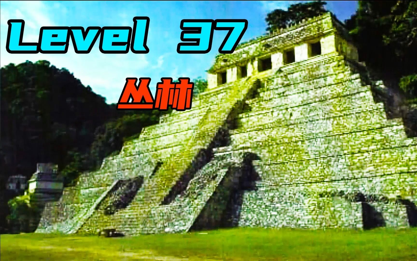 Level 37 欢迎来到丛林