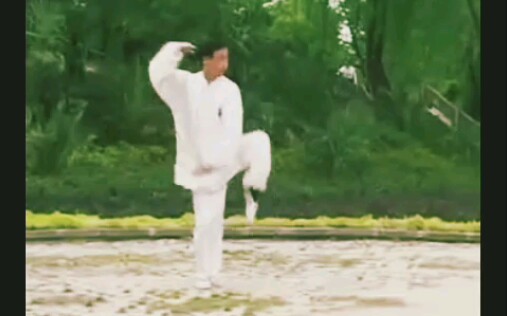 吴氏太极拳小架快拳