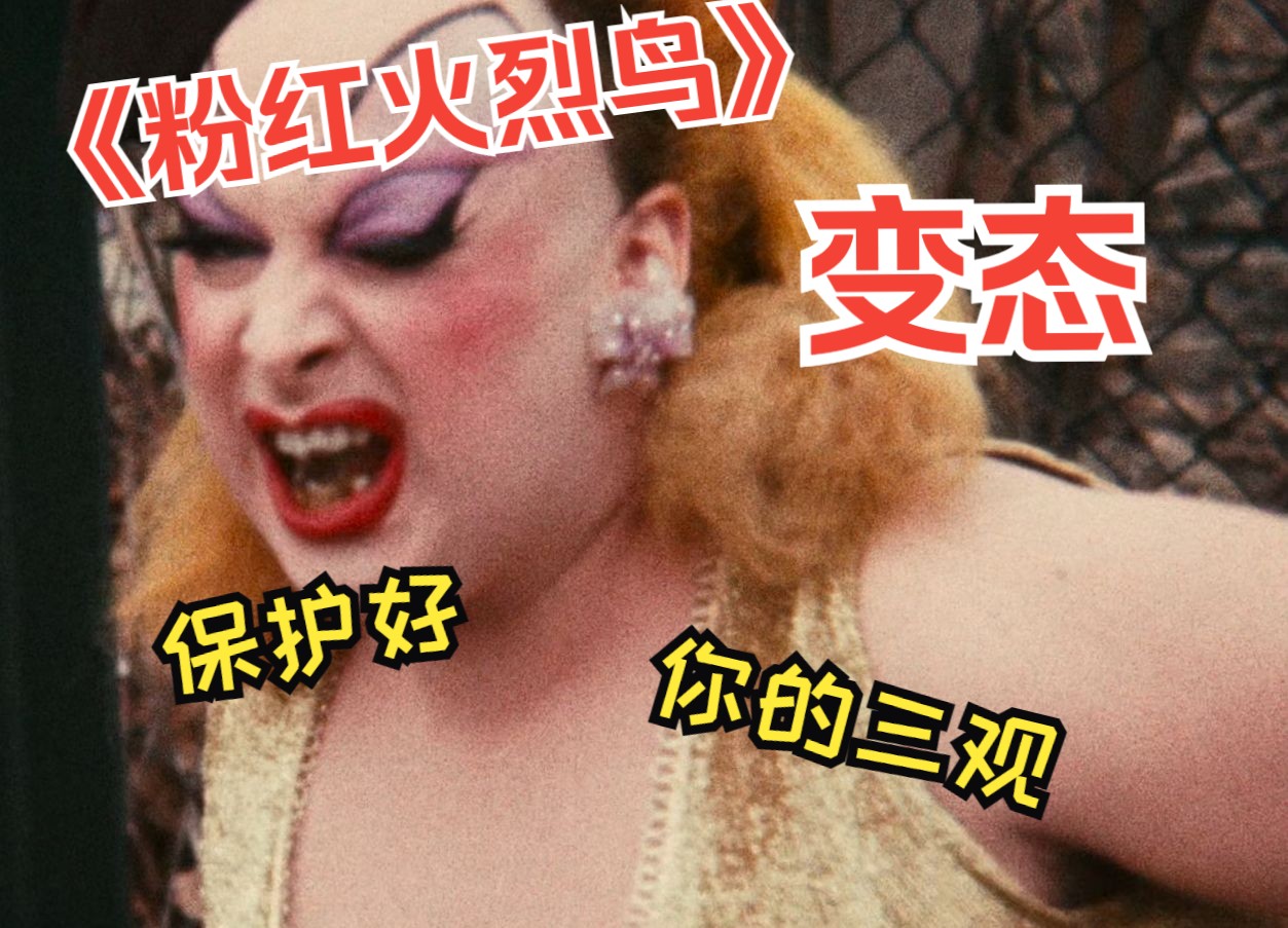 《粉红色的火烈鸟》一口气看完