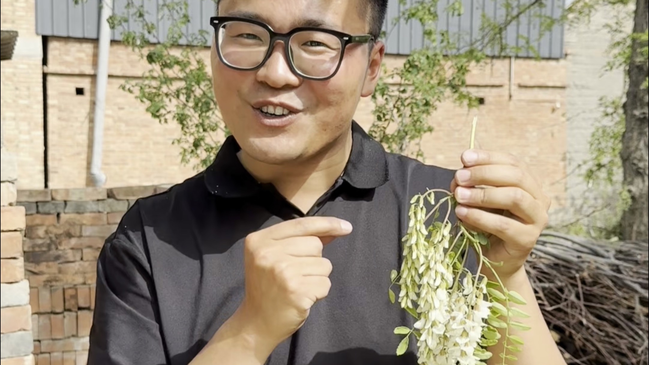 槐花野菜中的白月光，在我的老家，有很多人一年就在等这一口！铁娃带大家感受我们河 南的热闹村庄！