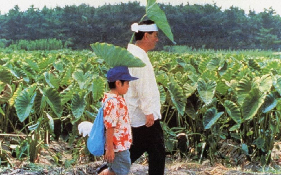 豆瓣8.7！20分钟深度解析《菊次郎的夏天》，北野武到底想要表达什么？