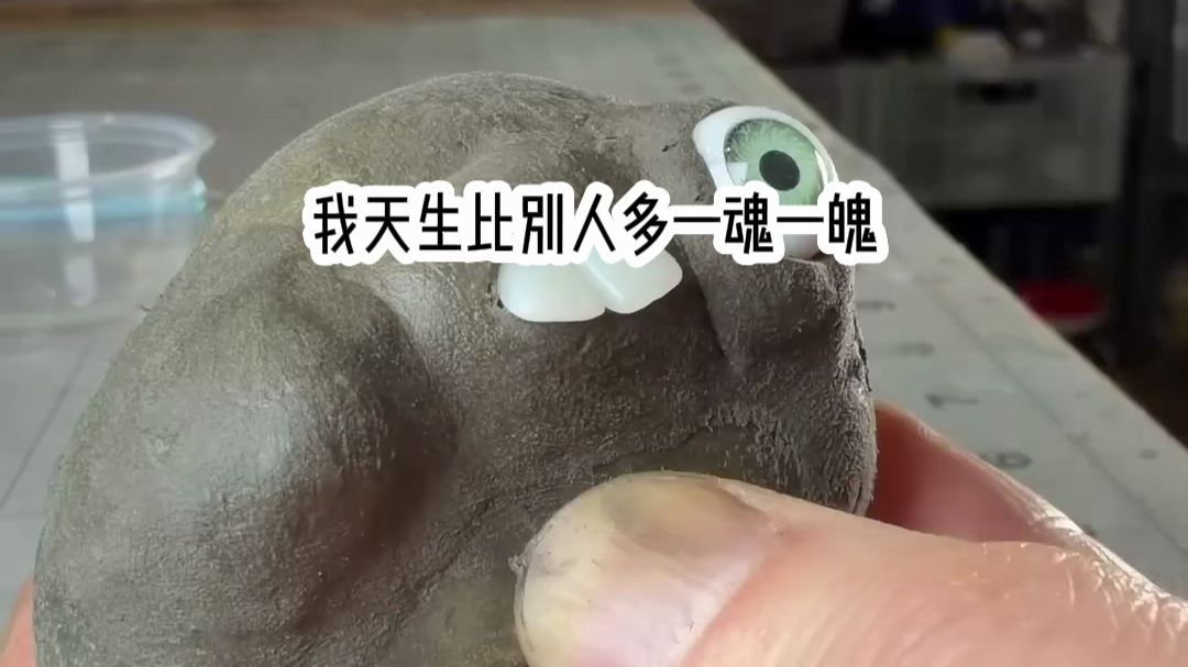 我天生比别人多一魂一魄。 任何邪祟都无法近我身，从小就没体会过生病的滋味