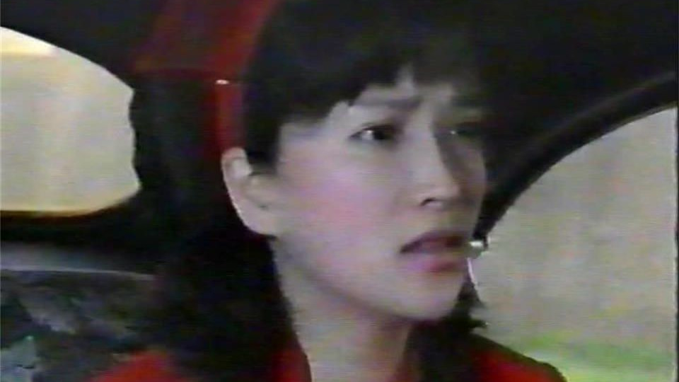 上海滩大警探 (1990) 上下集【王伟平/何晴】
