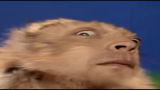 【Weezer】Pork And Beans