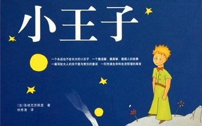 《小王子》的深度解读