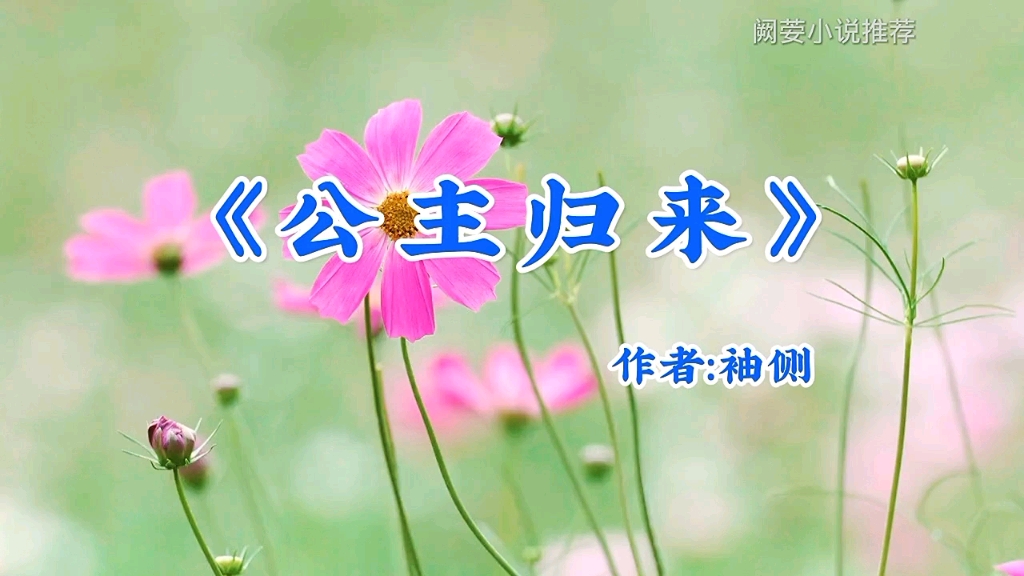 老书迷小说推荐《公主归来》作者：袖侧 ，已完结，宫廷侯爵，重生，高收藏。