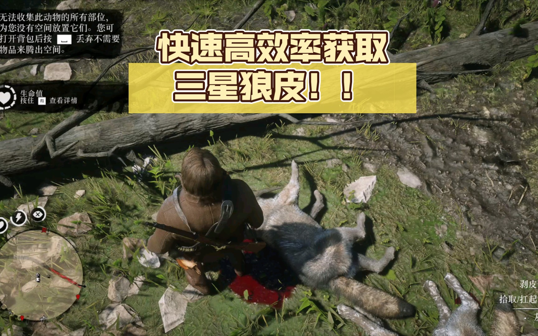 【荒野大镖客2】狼群固定刷新点！快速高效率获取三星狼皮！！