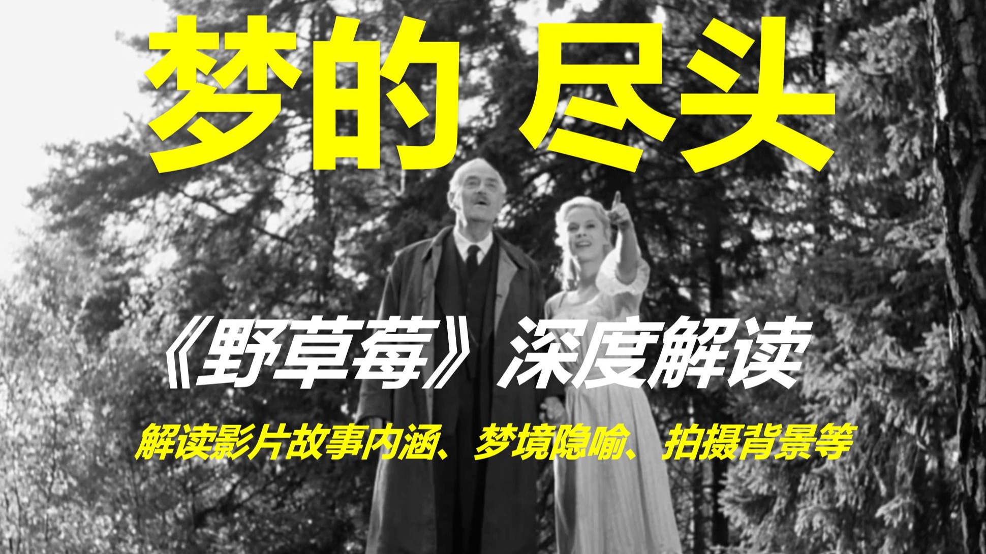 在梦的尽头，找到曾经缺失的爱；《野草莓》深度解读；  解读影片故事内涵、梦境隐喻以及拍摄背景等细节