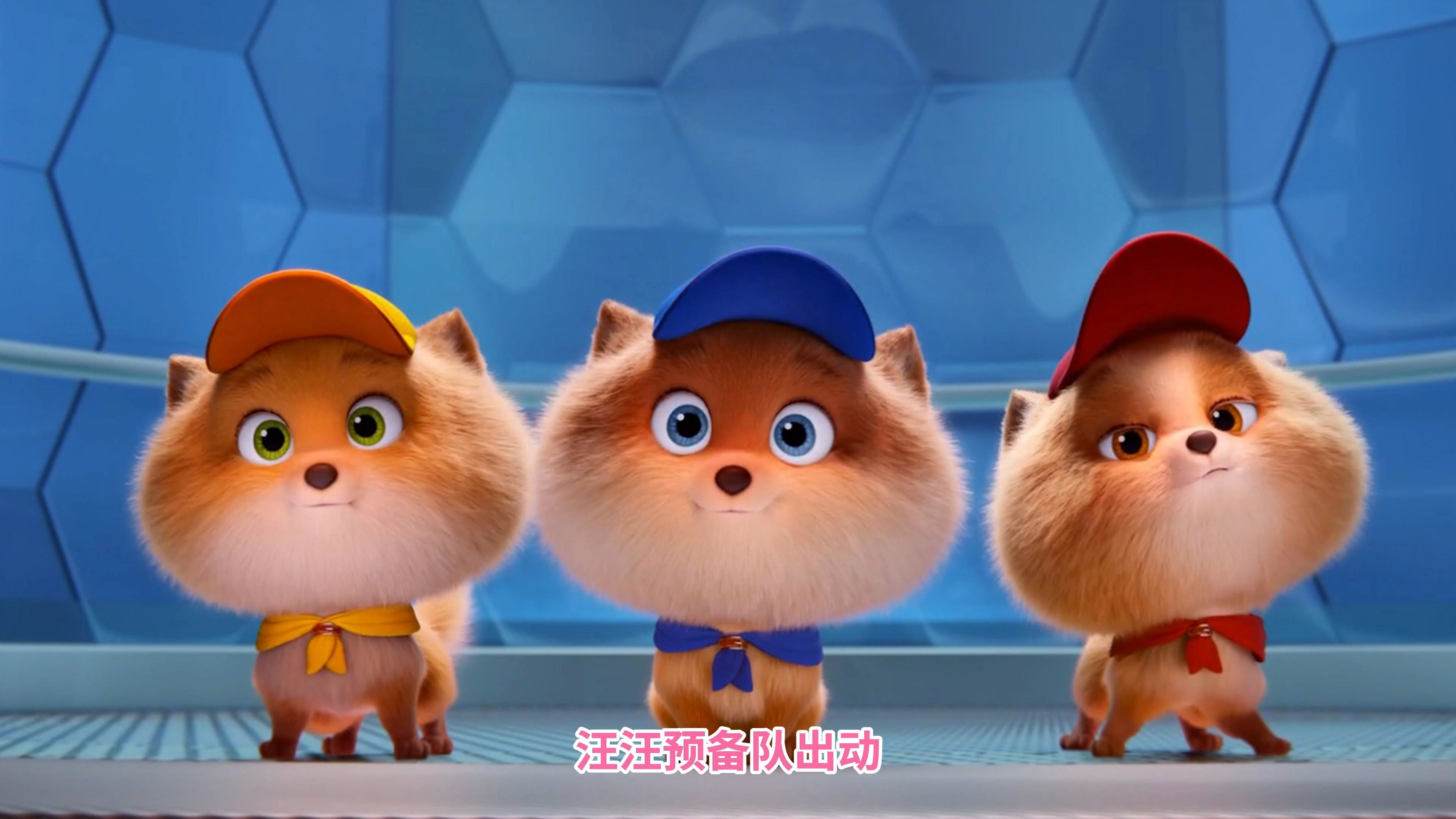 汪汪队立大功：汪汪预备队出动