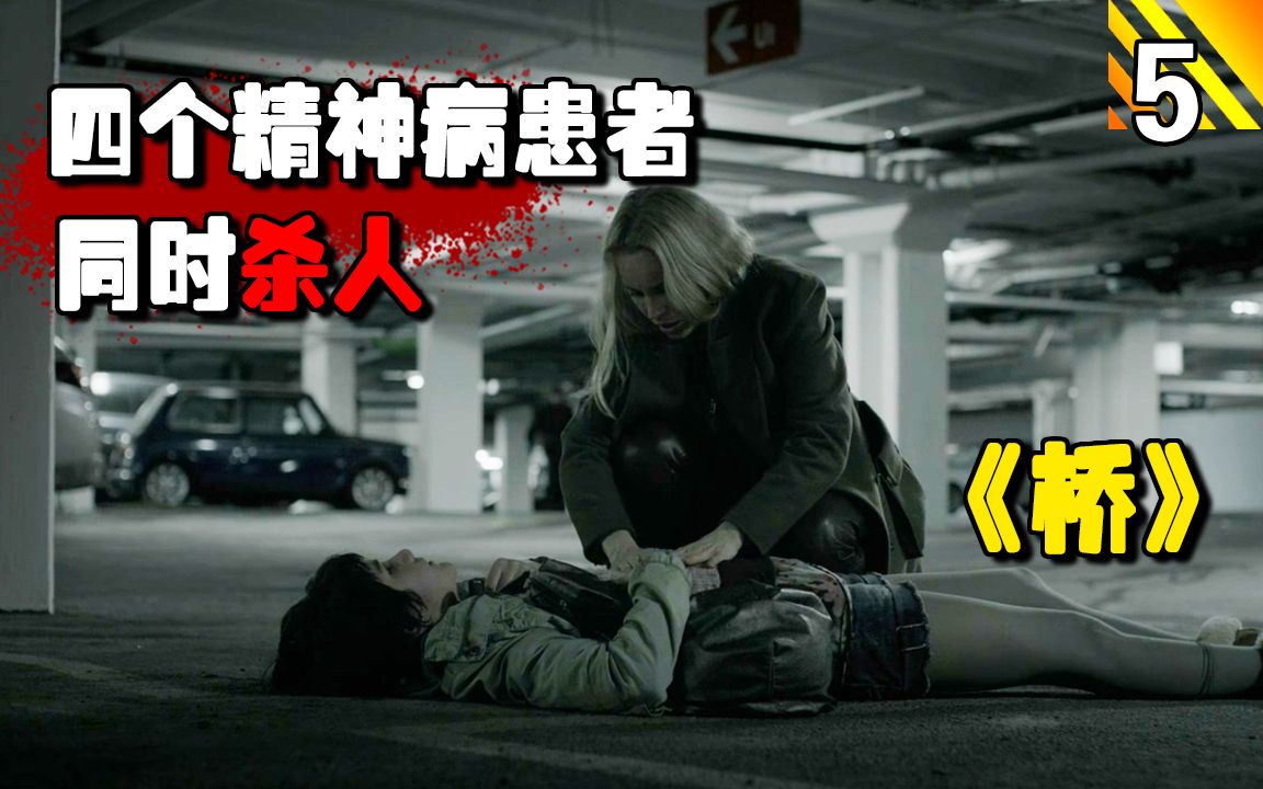 【长工】凶手控制四个精神病患者同时杀人，然后自杀！高分悬疑犯罪剧《桥》第一季 第5集