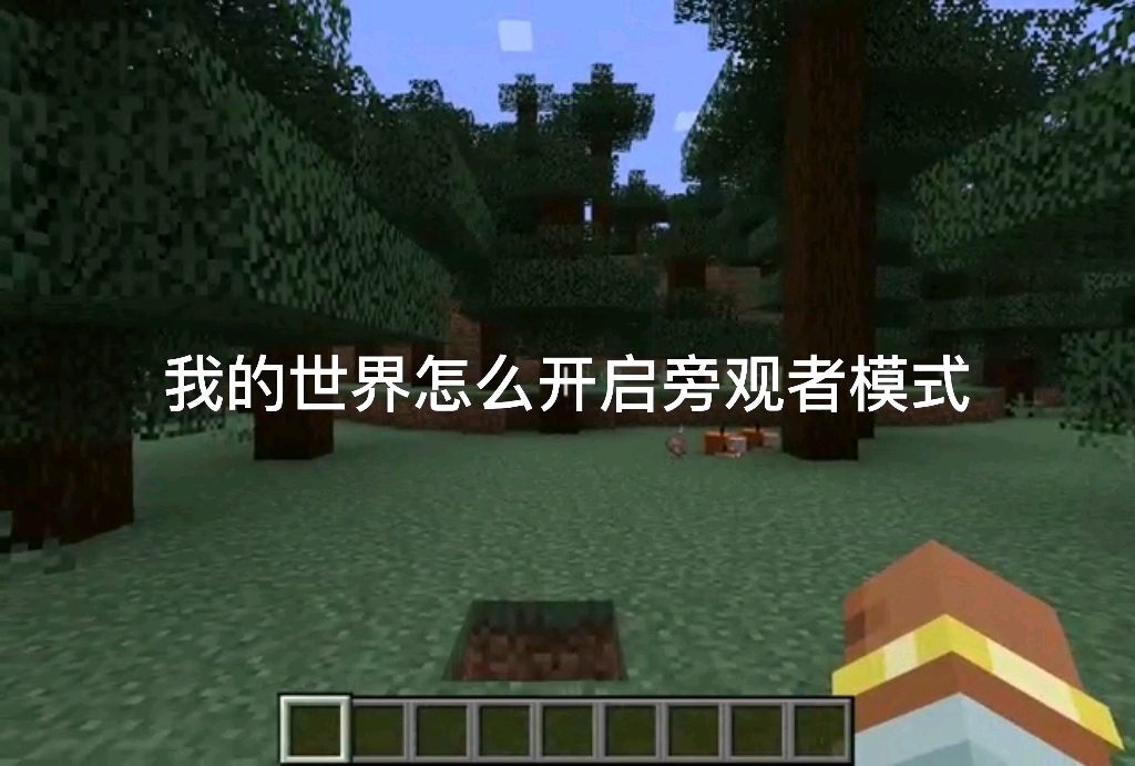 我的世界怎么开启旁观者模式