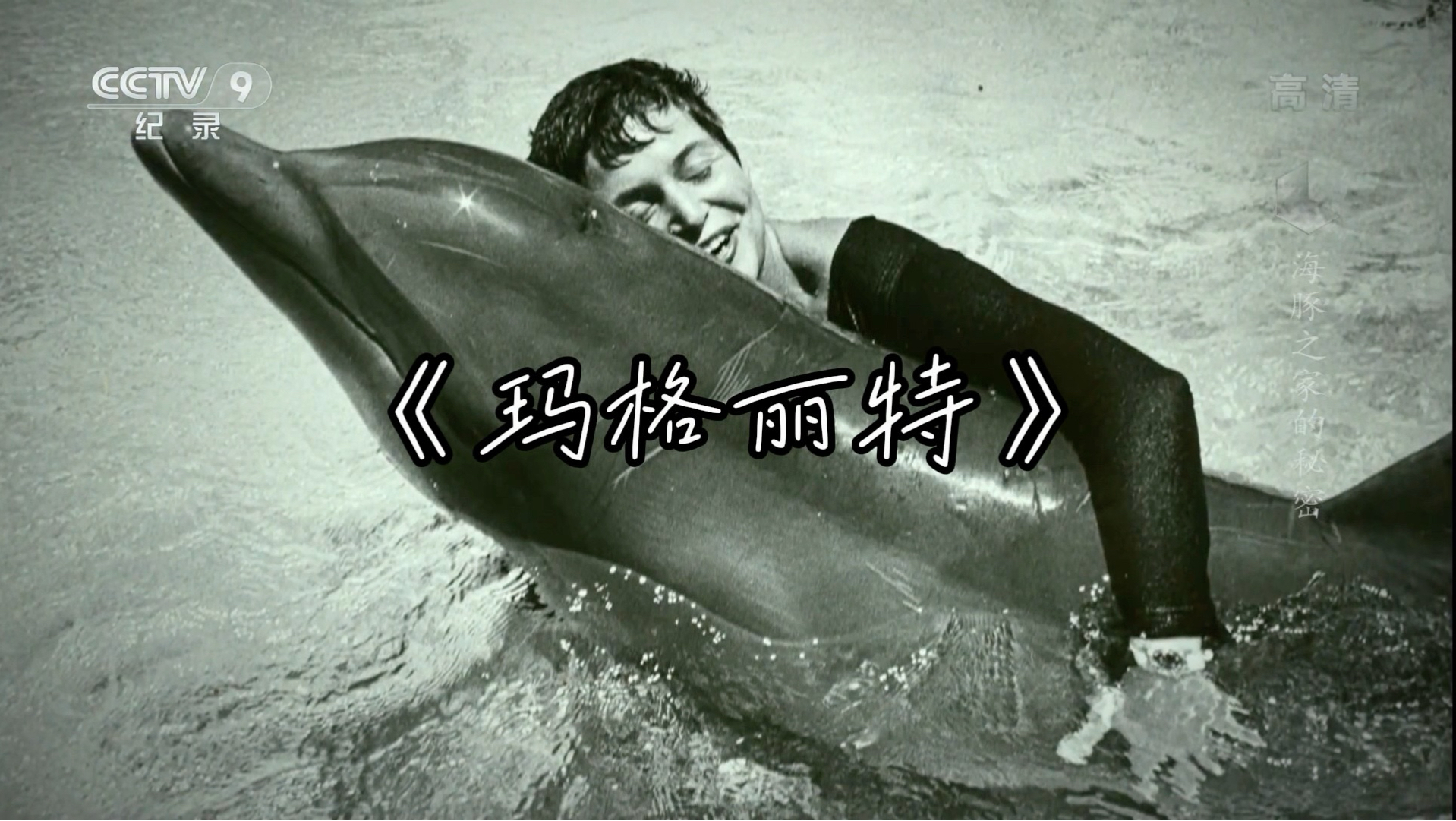 海豚彼得和他的饲养员玛格丽特